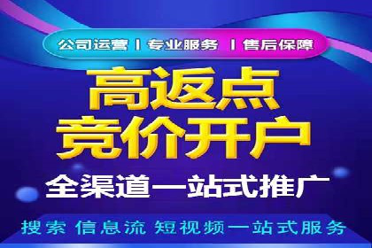 某电商平台的sem竞价推广托管经验